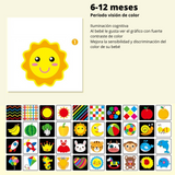 Tarjetas sensoriales visuales para el desarrollo del cerebro del bebé
