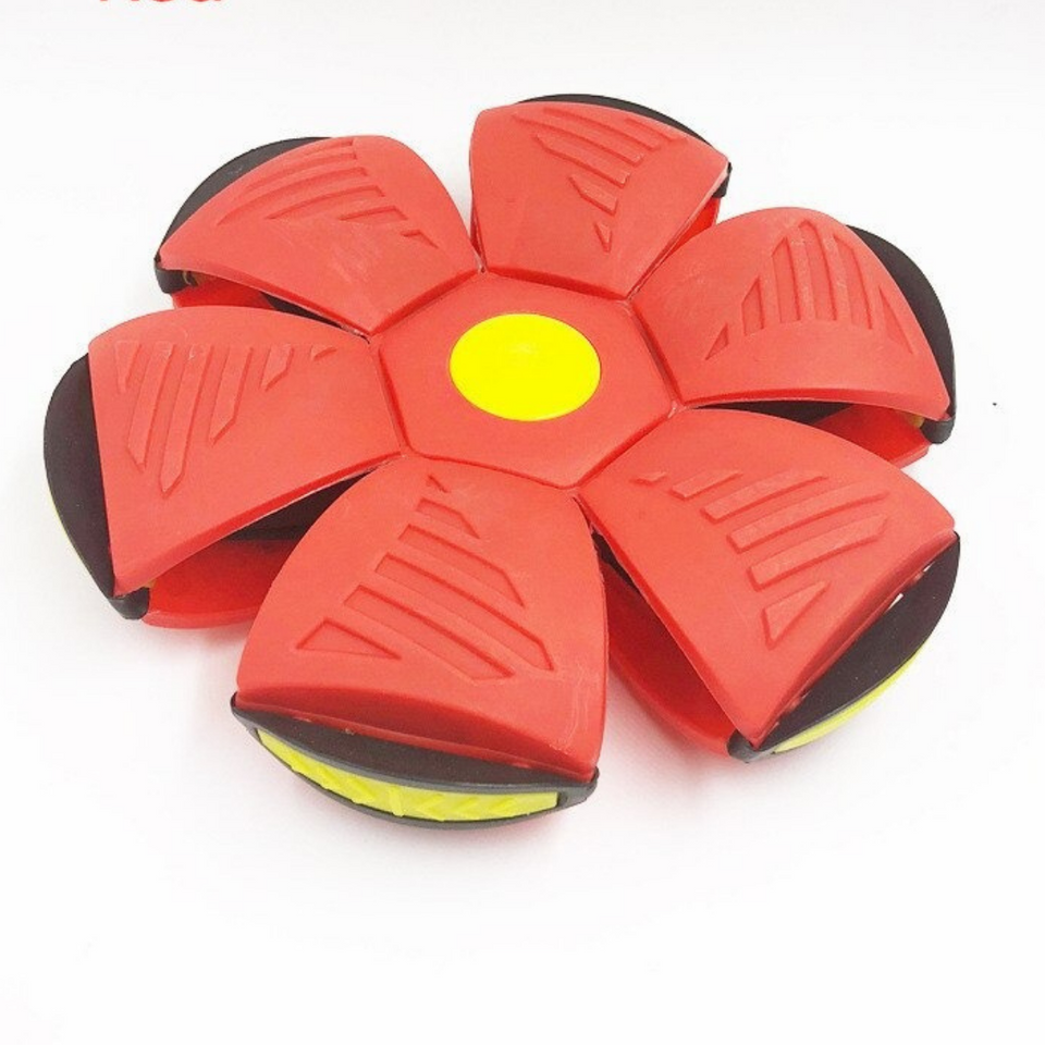 Pelota mágica convertible