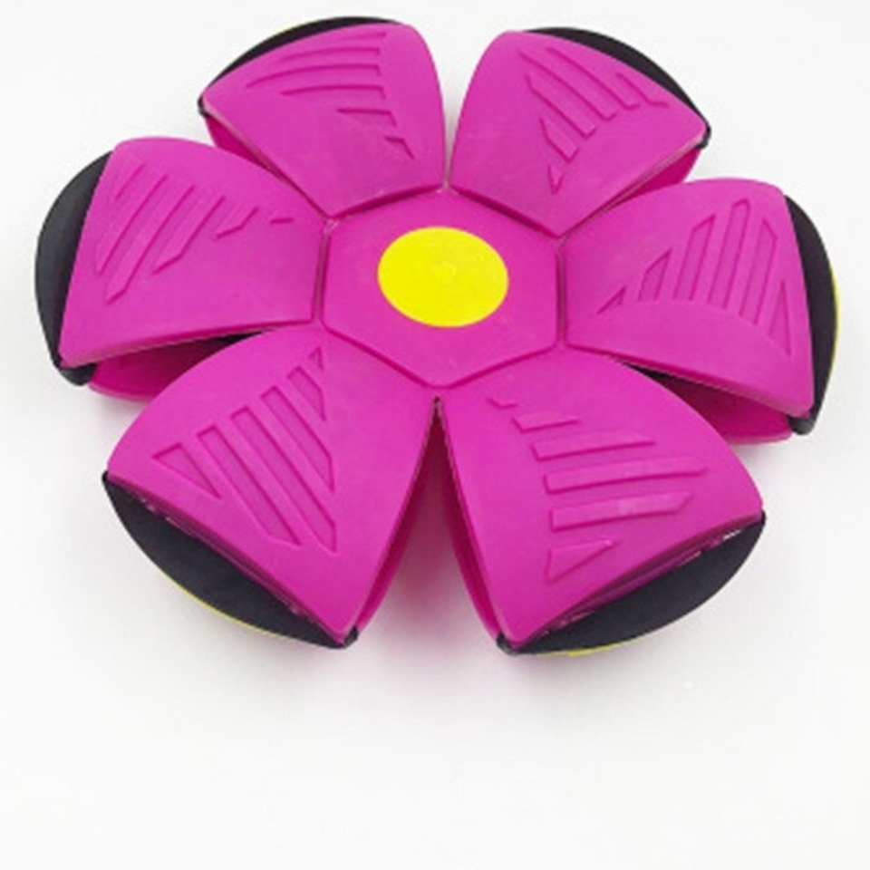 Pelota mágica convertible