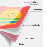 Tarjetas sensoriales visuales para el desarrollo del cerebro del bebé